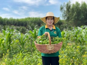 Duyên hải miền Trung và Tây Nguyên: Xanh hơn, phất hơn khi lồng ghép văn hóa, sinh thái nông nghiệp vào du lịch