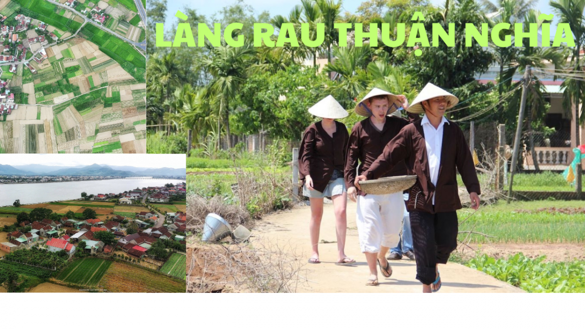 Duyên hải miền Trung, Tây Nguyên: Xanh hơn, phất hơn khi lồng ghép văn hóa và sinh thái nông nghiệp vào du lịch