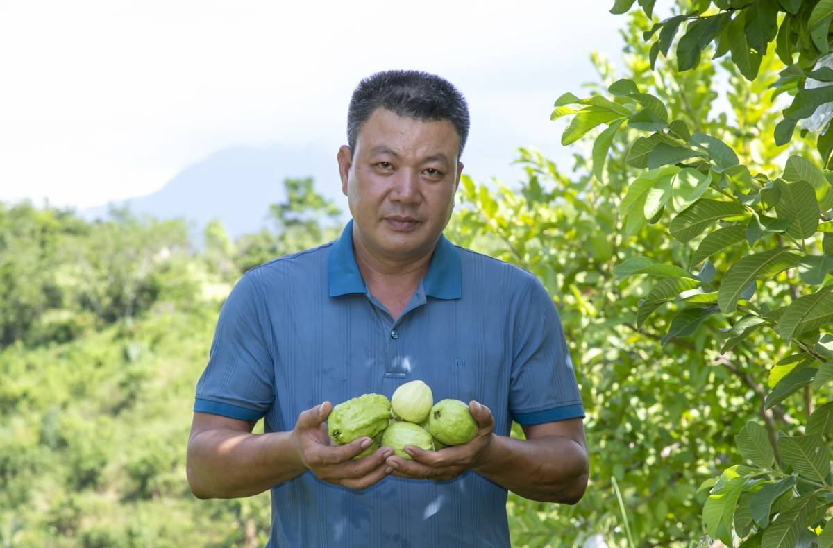 Duyên hải miền Trung, Tây Nguyên: Xanh hơn, phất hơn khi lồng ghép văn hóa và sinh thái nông nghiệp vào du lịch