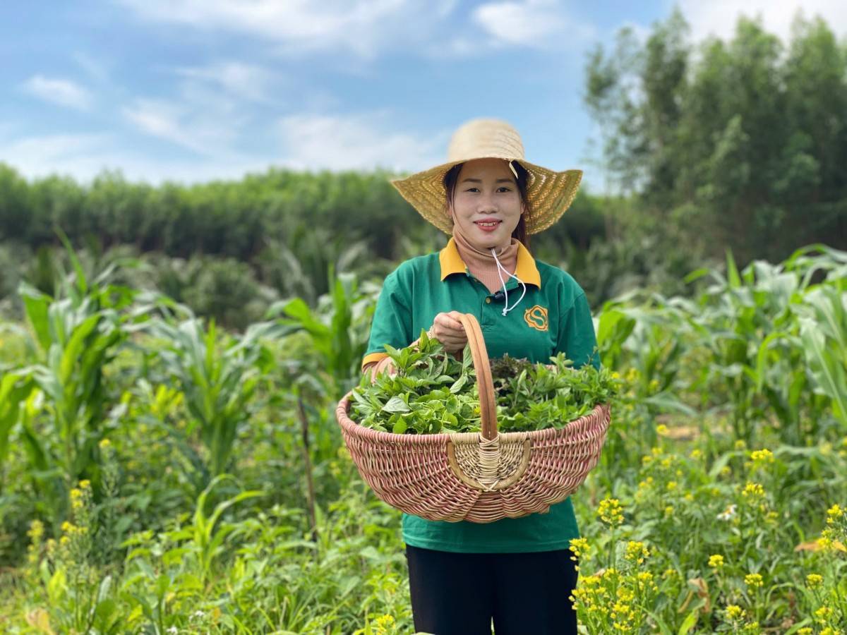 Duyên hải miền Trung, Tây Nguyên: Xanh hơn, phất hơn khi lồng ghép văn hóa và sinh thái nông nghiệp vào du lịch