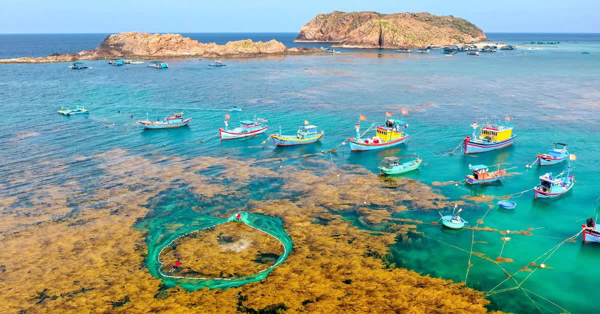 Gia Lai phát triển du lịch đa trải nghiệm: Rừng - biển đảo – cao nguyên