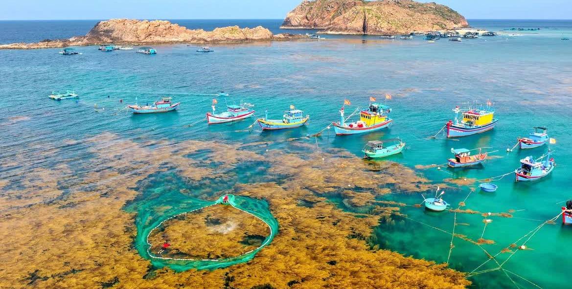 Gia Lai phát triển du lịch đa trải nghiệm: Rừng - biển đảo – cao nguyên