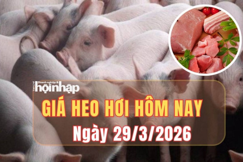 giá heo hơi