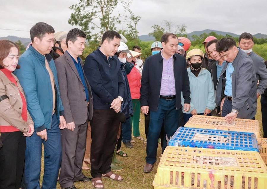 UBND xã Vân Du tổ chức cấp phát gà giống cho các hộ nghèo, cận nghèo và hộ mới thoát nghèo tham gia Dự án đa dạng hóa sinh kế, phát triển mô hình giảm nghèo bền vững 