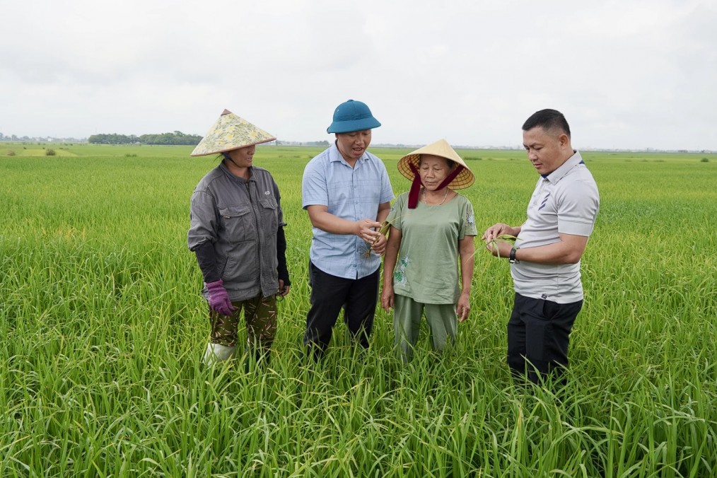 Quảng Trị: Những chuyển động mới ở nền nông nghiệp cơ sở