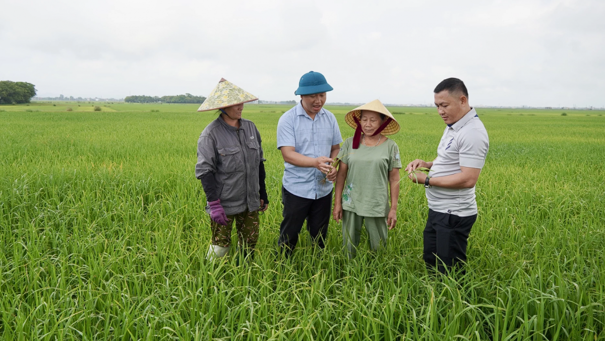 Quảng Trị: Những chuyển động mới ở nền nông nghiệp cơ sở