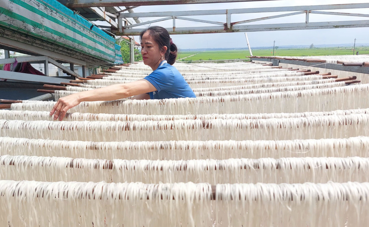 Quảng Trị: Những chuyển động mới ở nền nông nghiệp cơ sở