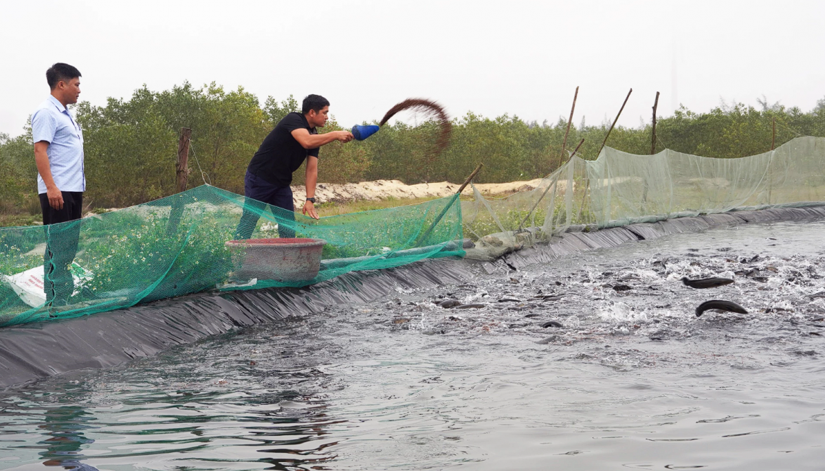 Quảng Trị: Những chuyển động mới ở nền nông nghiệp cơ sở