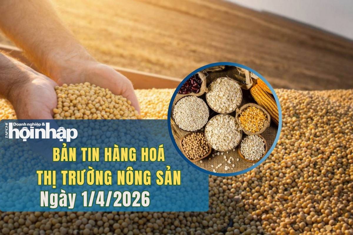 Thị trường nhóm nông sản 31/3/2026: Giá lúa mì tăng nhẹ, ngô giảm, đậu tương đi ngang trước báo cáo USDA