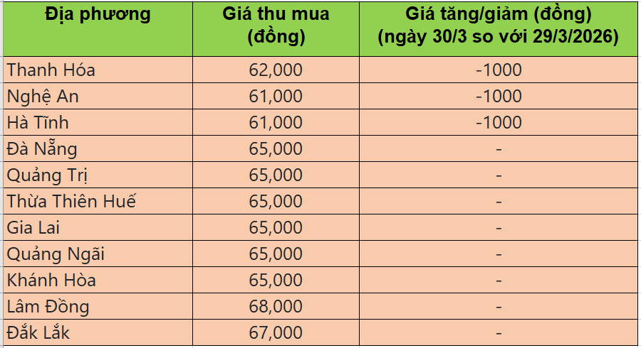 Bảng giá heo hơi tại miền Trung - Tây Nguyên hôm nay 30/3/2026