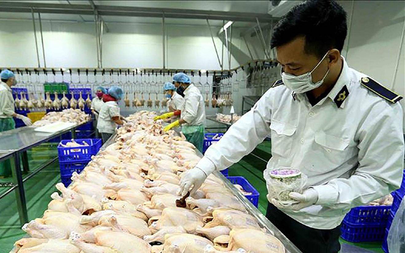 TP. Hồ Chí Minh tăng cường kiểm tra liên ngành về phòng dịch, kiểm dịch vận chuyển