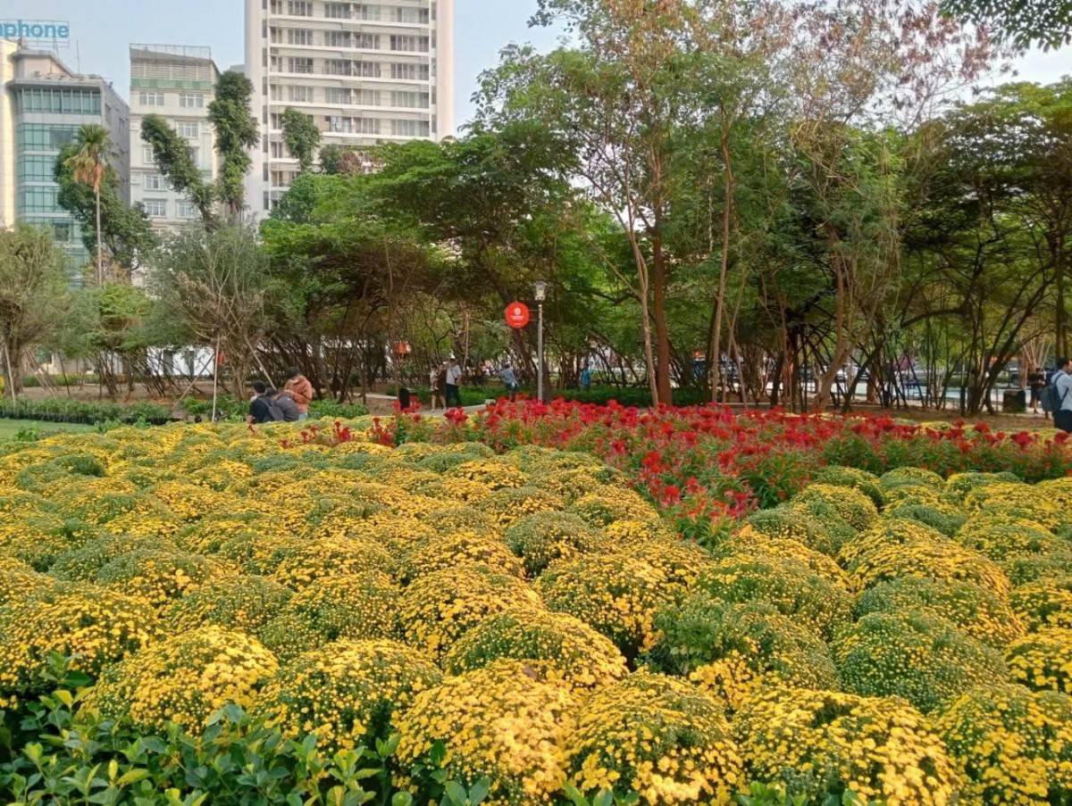 TP. Hồ Chí Minh siết quản lý “công viên tạm”