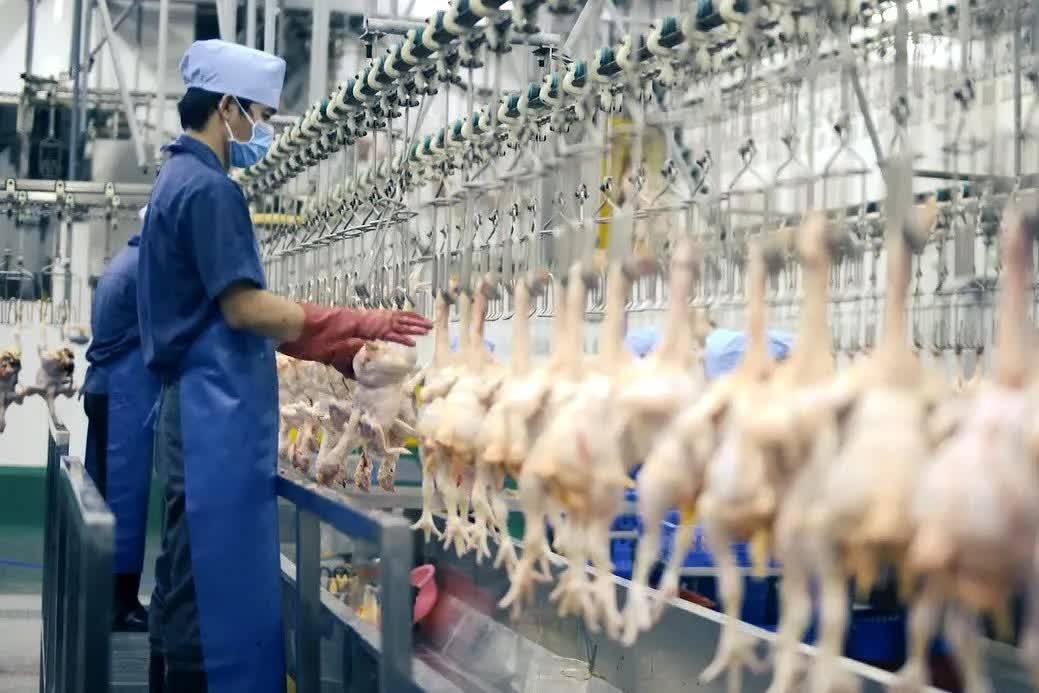 Thủ tướng chỉ đạo kiểm soát giết mổ, không để thịt bẩn “lọt cửa” ra thị trường