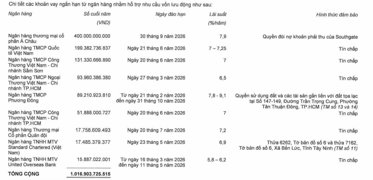 Bức tranh huy động trái phiếu của Tập đoàn Nam Long có gì đáng chú ý?