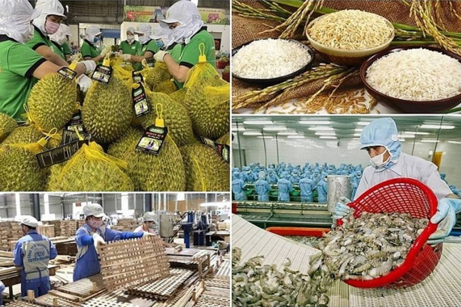 Xuất khẩu nông, lâm, thủy sản quý I/2026 tăng gần 6%, giá nhiều mặt hàng giảm