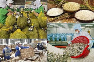 Xuất khẩu nông, lâm, thủy sản quý I/2026 tăng gần 6%, giá nhiều mặt hàng giảm