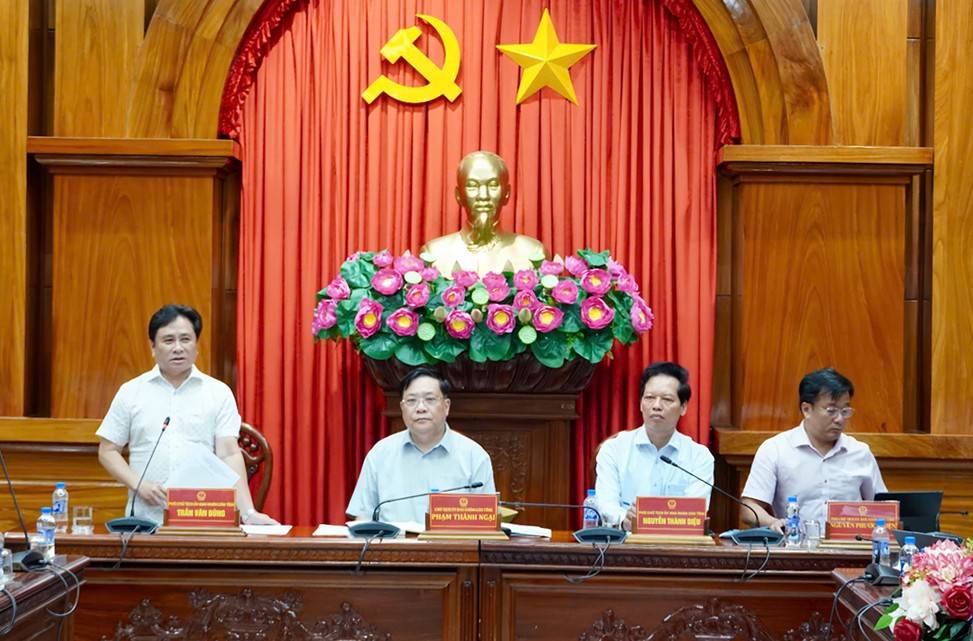 Phó Chủ tịch Ủy ban nhân dân tỉnh Trần Văn Dũng phát biểu tại cuộc họp