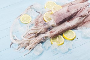 Thị trường mực toàn cầu biến động: Cơ hội và sức ép đan xen với xuất khẩu Việt Nam