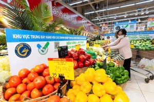 TP. Hồ Chí Minh đặt mục tiêu trở thành trung tâm bán lẻ hàng đầu ASEAN