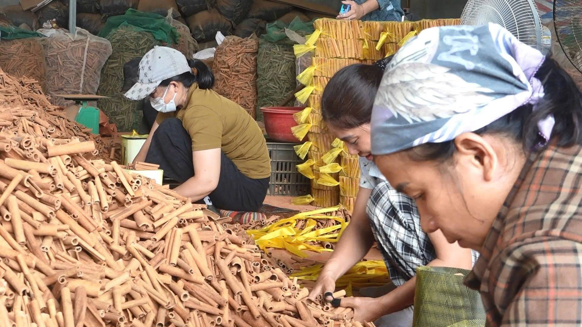 Tân Hợp bám sát Nghị quyết 21/NQ-HĐND tỉnh Lào Cai, bứt phá kinh tế - xã hội vùng cao