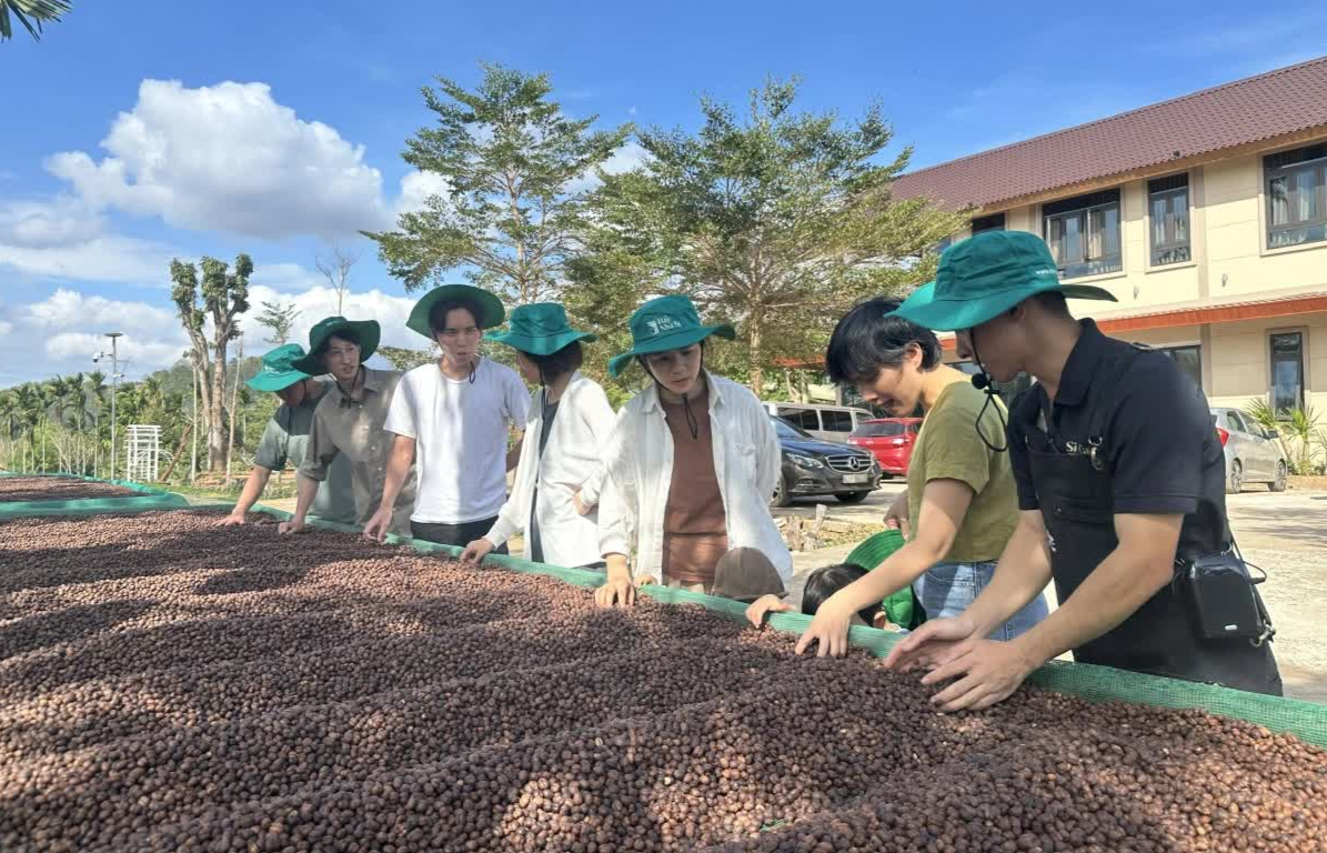 Đến Đắk Lắk trải nghiệm hành trình văn hóa cà phê độc đáo