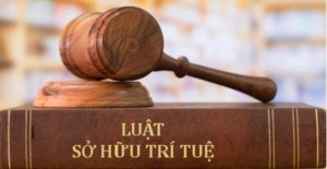 Doanh nghiệp sử dụng trí tuệ nhân tạo tạo sinh cần hiểu đúng và tuân thủ Luật Sở hữu trí tuệ sửa đổi năm 2025