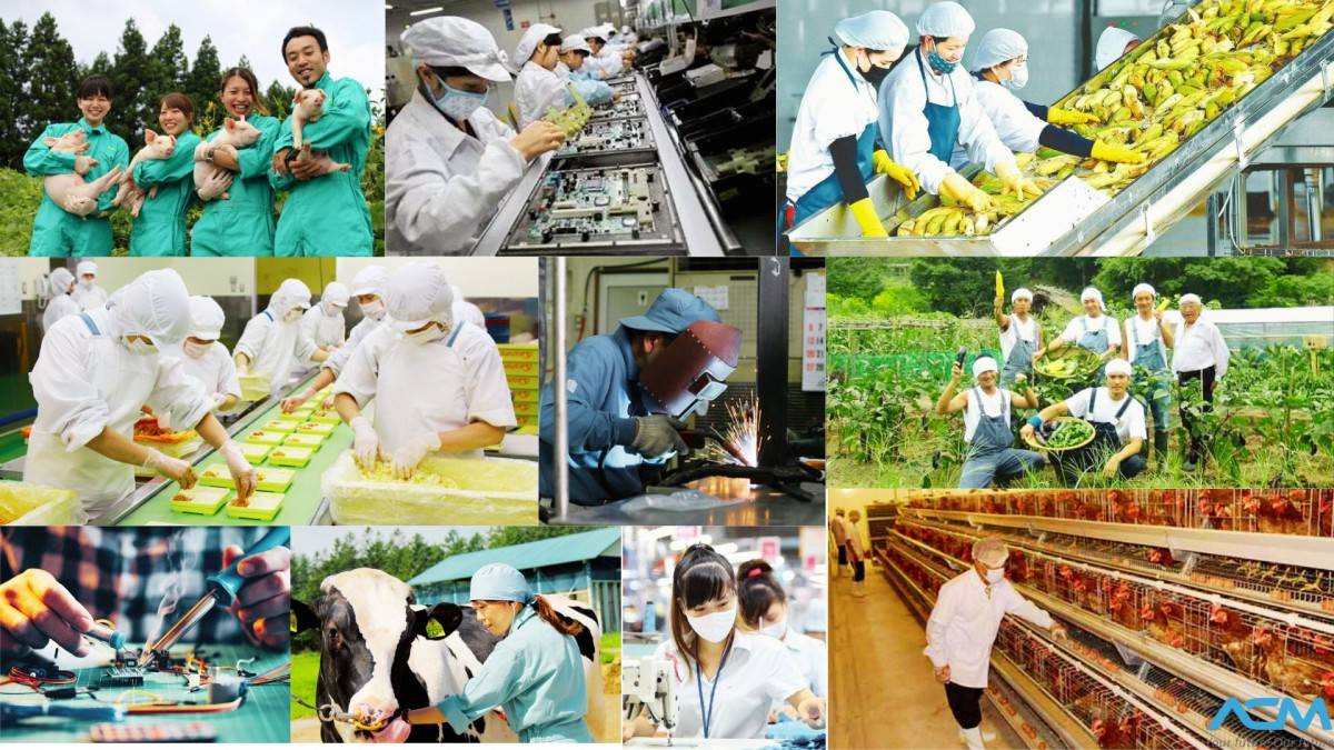 Trong giai đoạn áp lực bên ngoài tăng cao, cộng đồng doanh nghiệp cho rằng giảm gánh nặng thủ tục sẽ giúp tiết kiệm chi phí tuân thủ và thời gian xử lý hồ sơ, nhất là ở các khâu liên quan đến nhập khẩu và tiếp cận vốn (Ảnh minh hoạ).