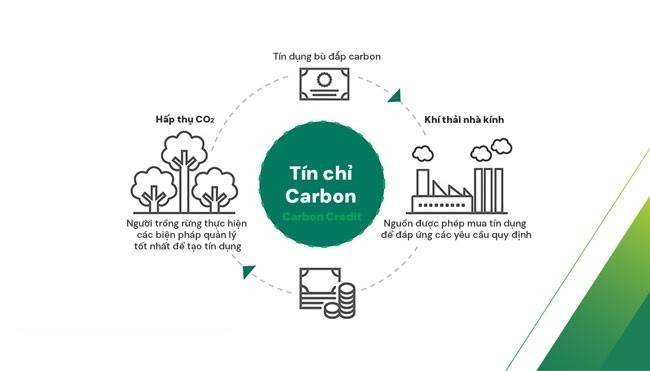 Việt Nam mở đường bán tín chỉ carbon ra quốc tế