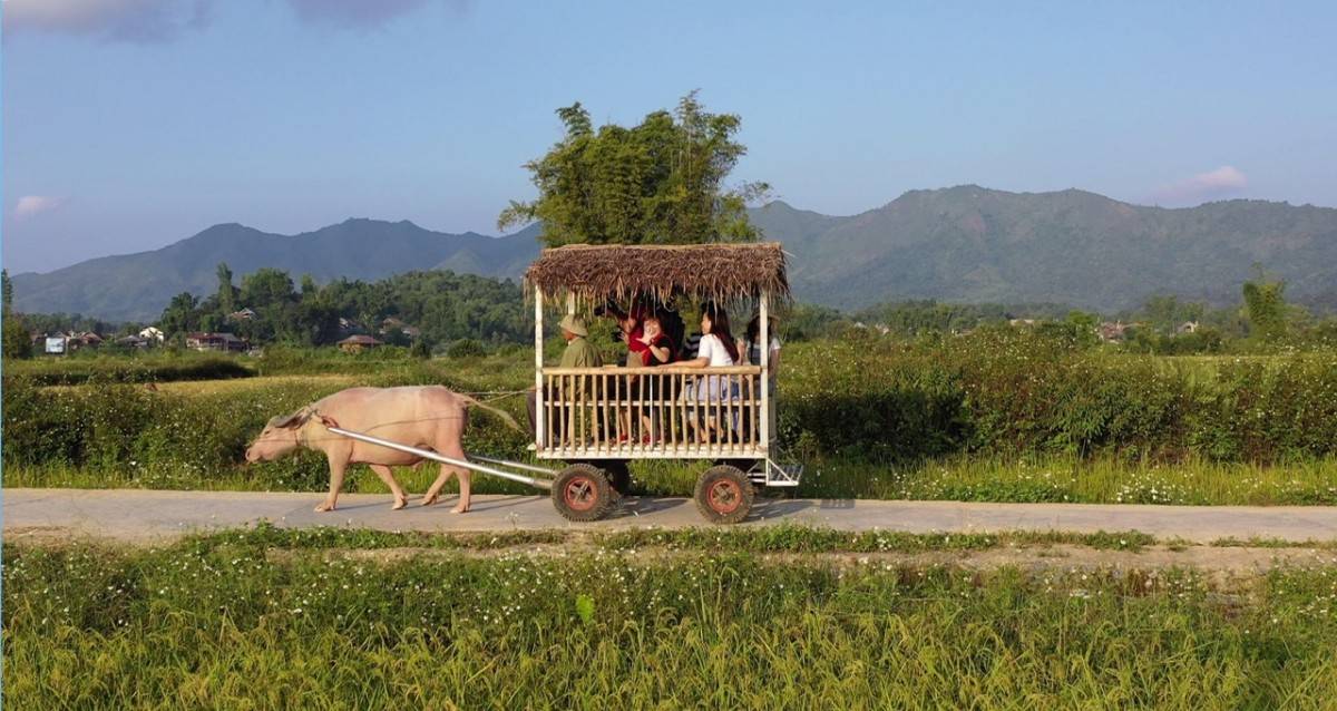 Du lịch nông thôn: Từ xe trâu Đường Lâm đến cú hích đánh thức giá trị làng quê