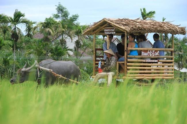 Du lịch nông thôn: Từ xe trâu Đường Lâm đến cú hích đánh thức giá trị làng quê