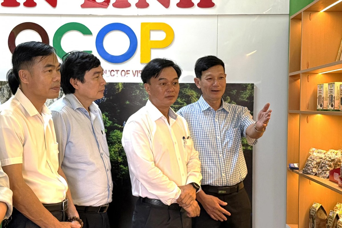 Quảng Trị: Phát huy vai trò kinh tế tập thể trong phát triển bền vững