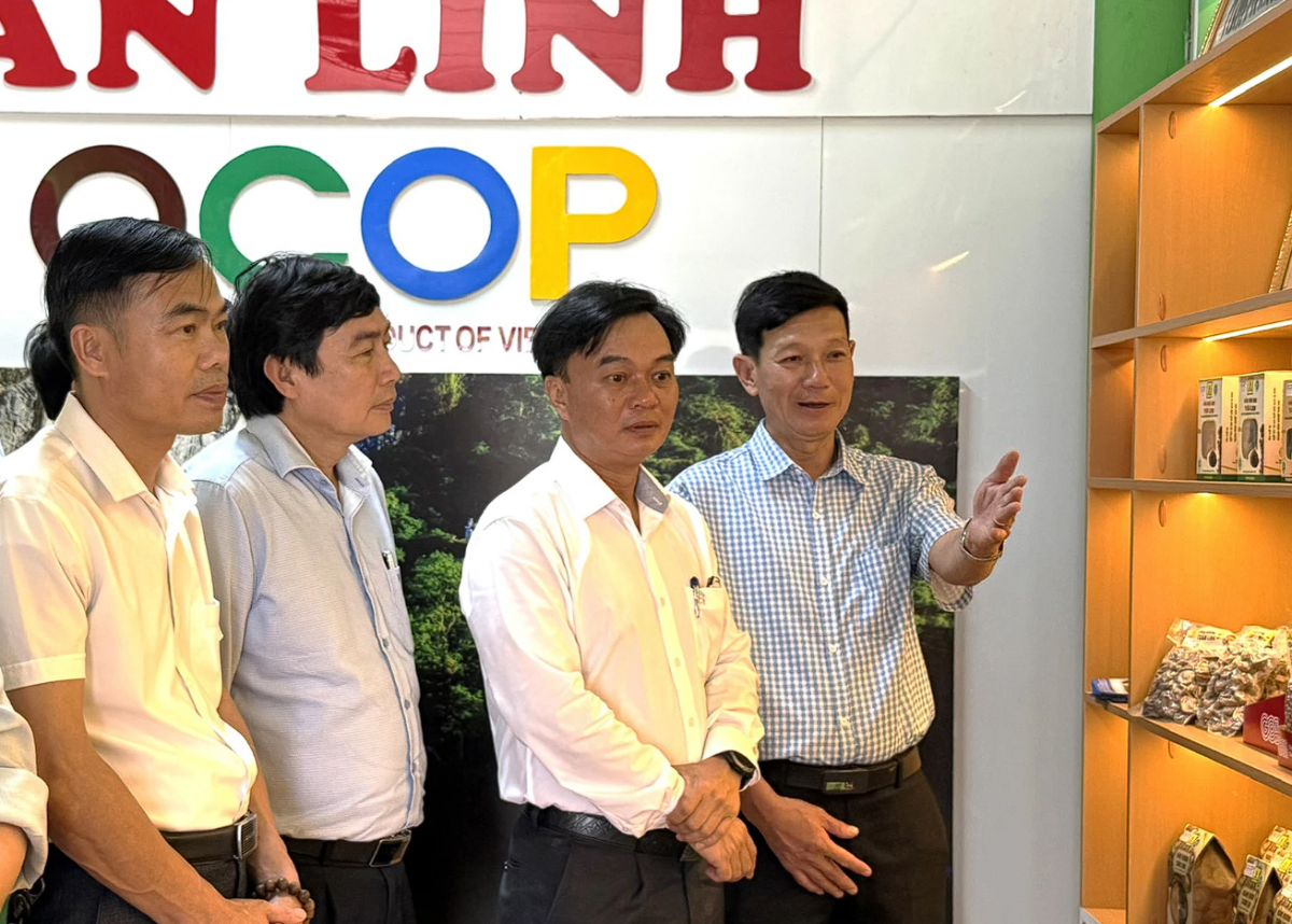 Quảng Trị: Phát huy vai trò kinh tế tập thể trong phát triển bền vững