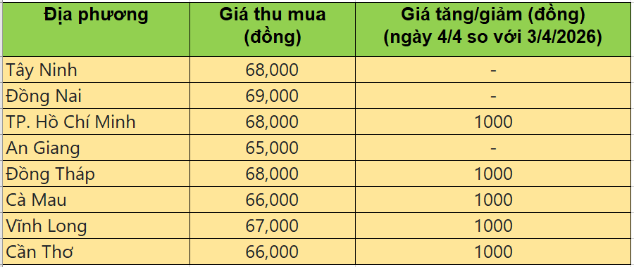 Giá heo hơi hôm nay 4/4/2026: Giá heo hơi tiếp tục tăng, miền Nam chạm đỉnh 68.000 đồng/kg
