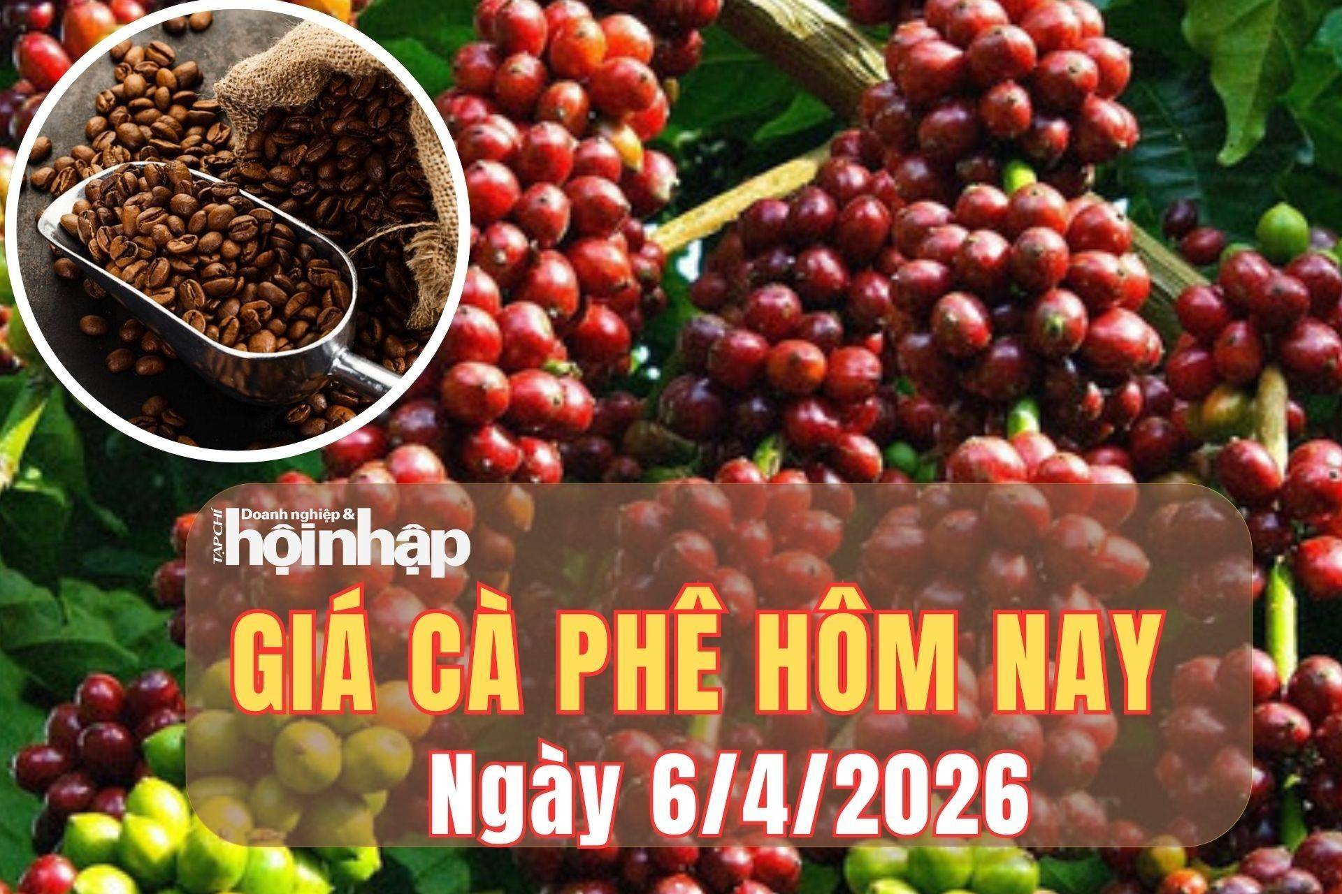 Giá cà phê hôm nay 6/4/2026: Giá cà phê giảm mạnh tuần qua, trong nước mất hơn 3.000 đồng/kg