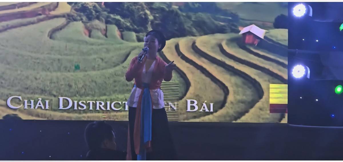 Biểu diễn hát Chèo tại phố đi bộ