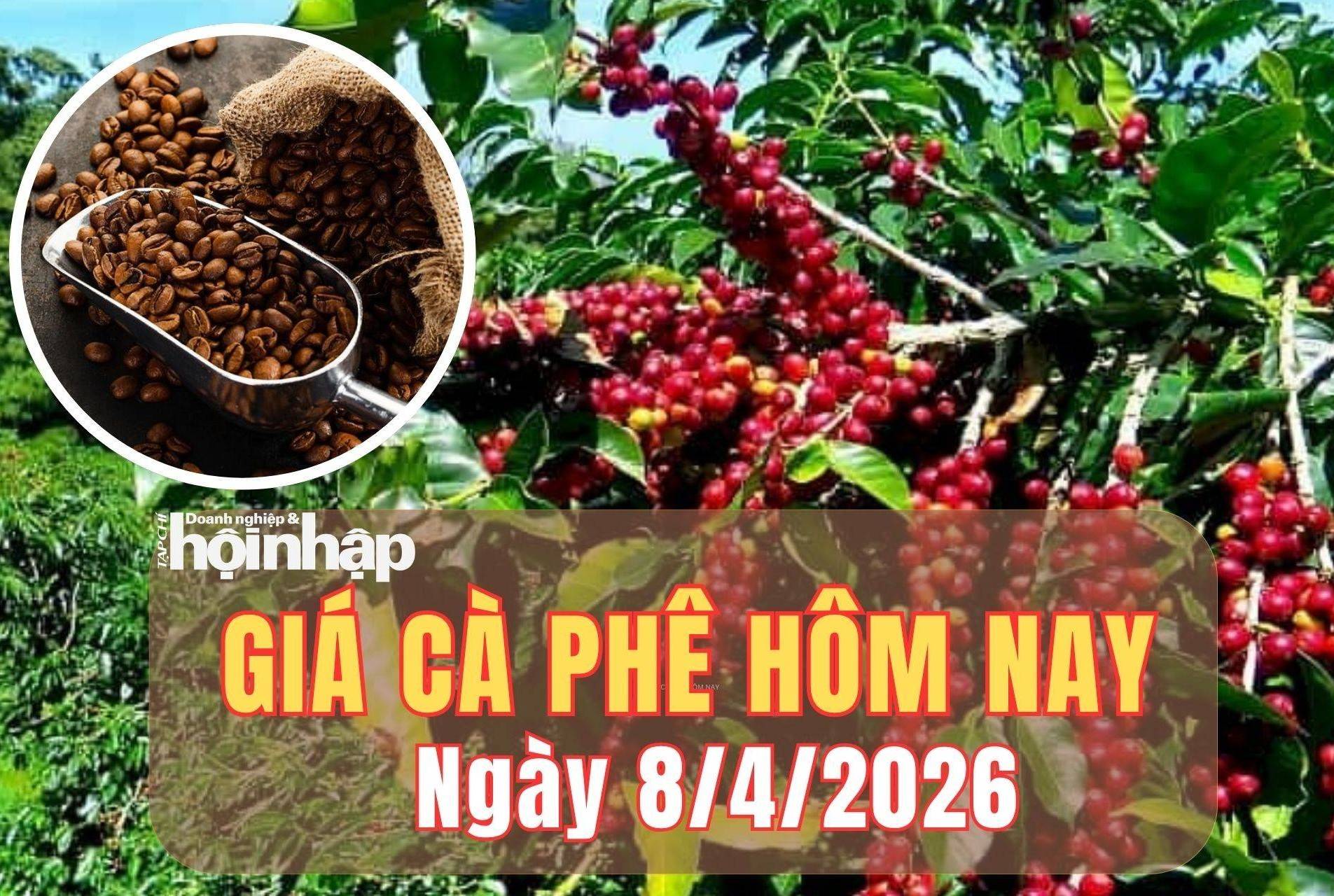 Giá cà phê hôm nay 8/4/2026: Giá cà phê thế giới lao dốc mạnh sau kỳ nghỉ Lễ Phục sinh