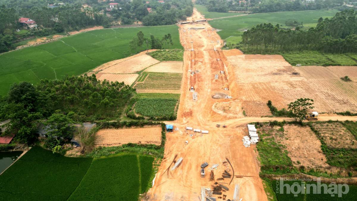 Phú Thọ giải ngân 2.733 tỷ đồng, đặt mục tiêu đạt 50% trước 30/6