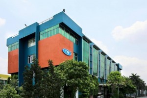 Gỗ Trường Thành “đặt cược” trở lại đường đua lợi nhuận, gánh nặng lỗ lũy kế vẫn lớn