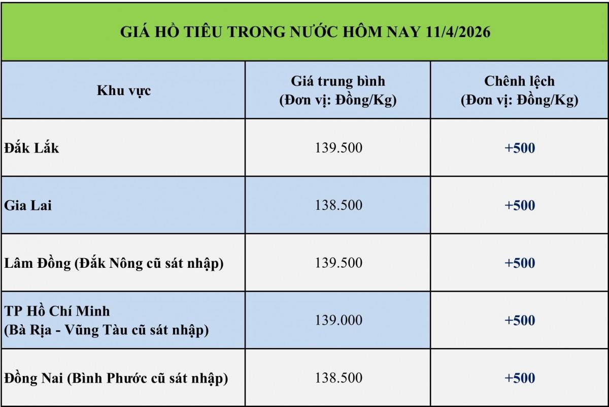 Giá tiêu hôm nay 11/4/2026: