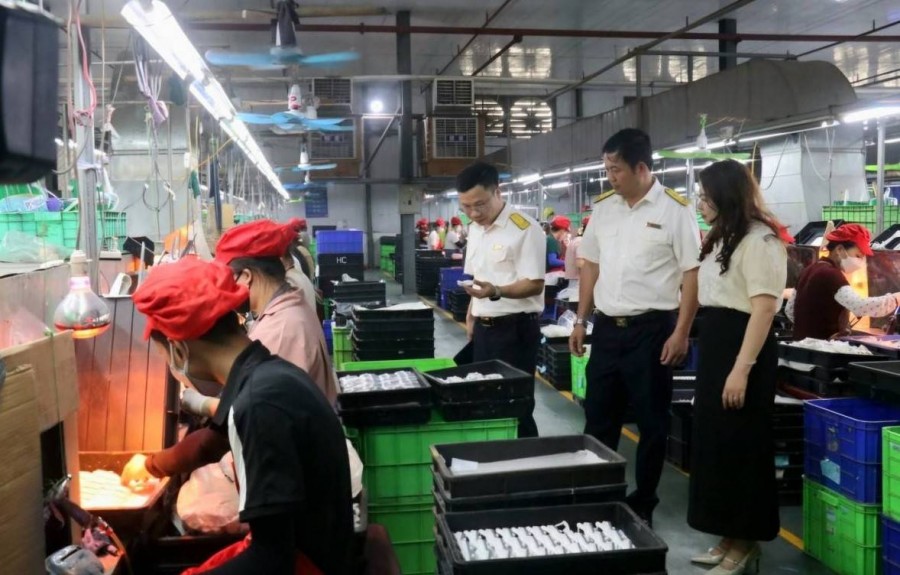 Phú Thọ thu ngân sách hơn 18.315 tỷ đồng quý I, tăng 34,7%