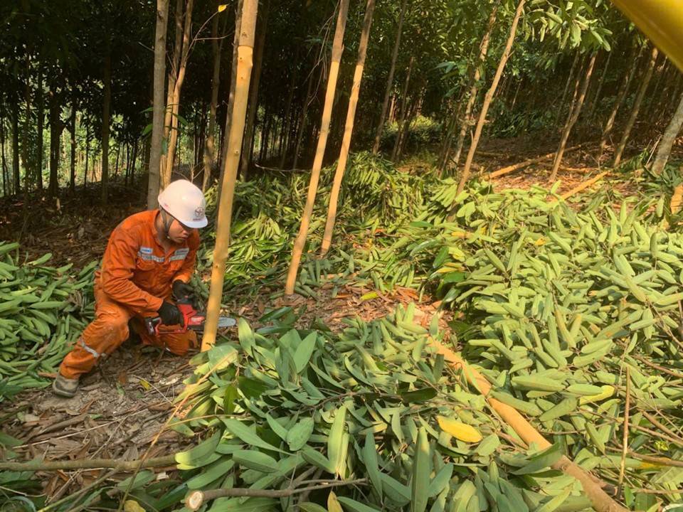 Lào Cai: Điện lực Văn Yên siết quản lý hành lang lưới điện, kêu gọi tiết kiệm điện mùa nóng