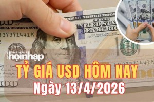 Tỷ giá USD hôm nay 13/4/2026: Đồng USD đảo chiều liên tục, khó đoán