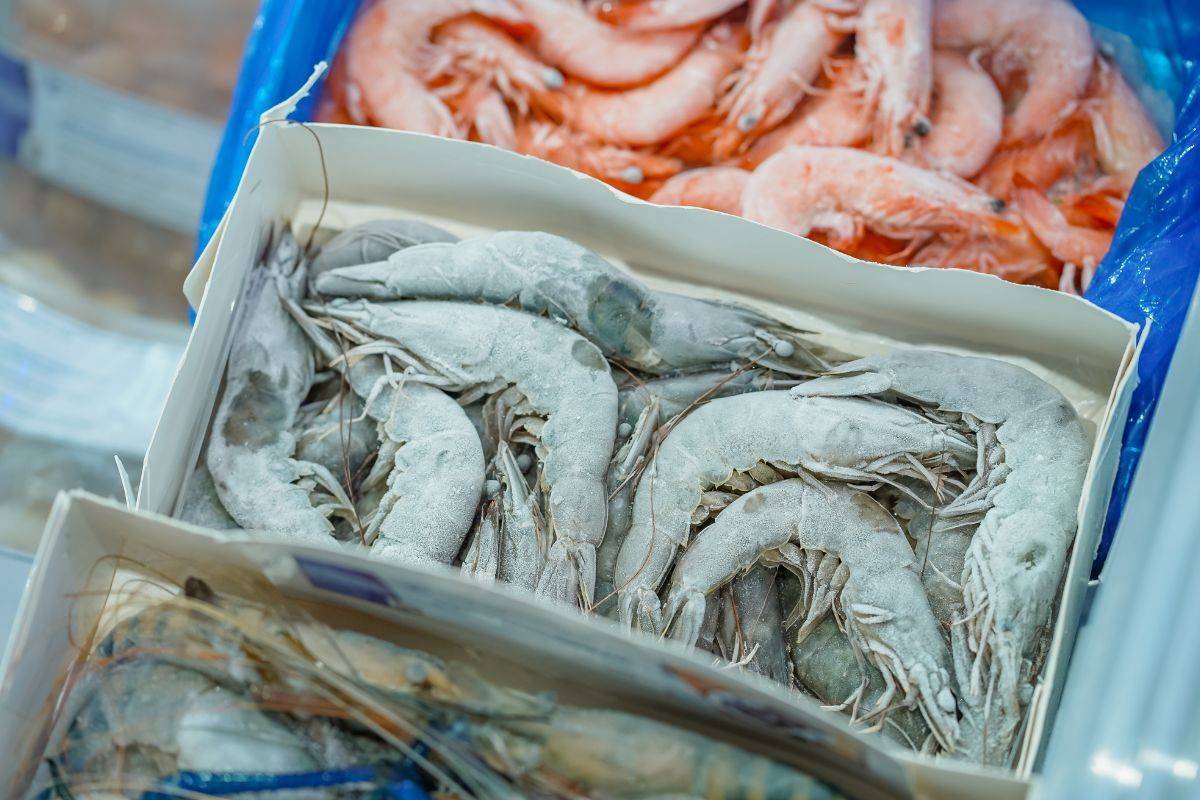 Áp lực chi tiêu tại Nhật mở lối cho tôm Việt Nam gia tăng giá trị chế biến