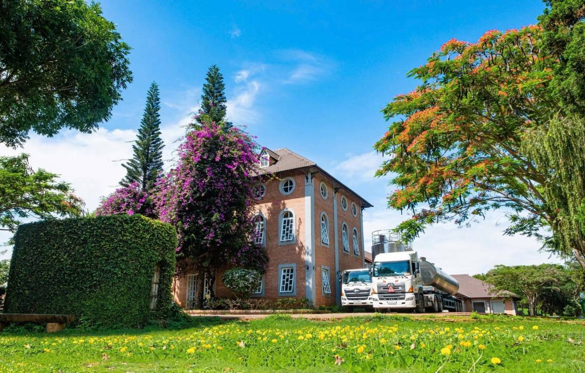 Dalatmilk ra mắt “Sữa Tươi Thanh Trùng Hương Chuối