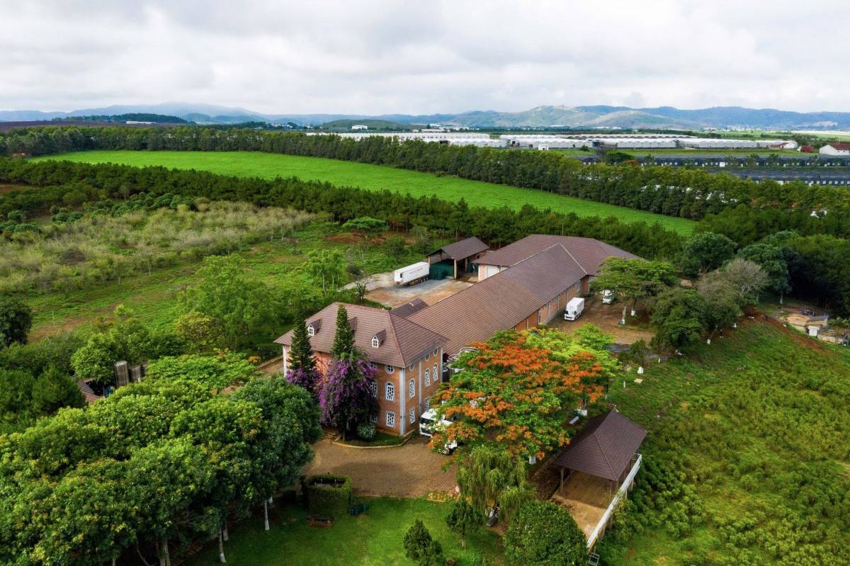 Dalatmilk ra mắt “Sữa Tươi Thanh Trùng Hương Chuối