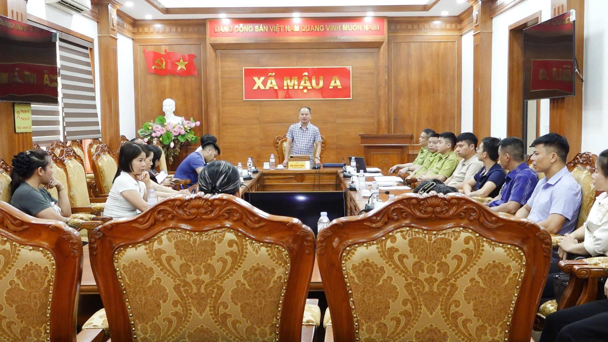 Lào Cai: Xã Mậu A chuẩn hóa quy trình khai thác, xác nhận nguồn gốc quế để nâng tầm giá trị