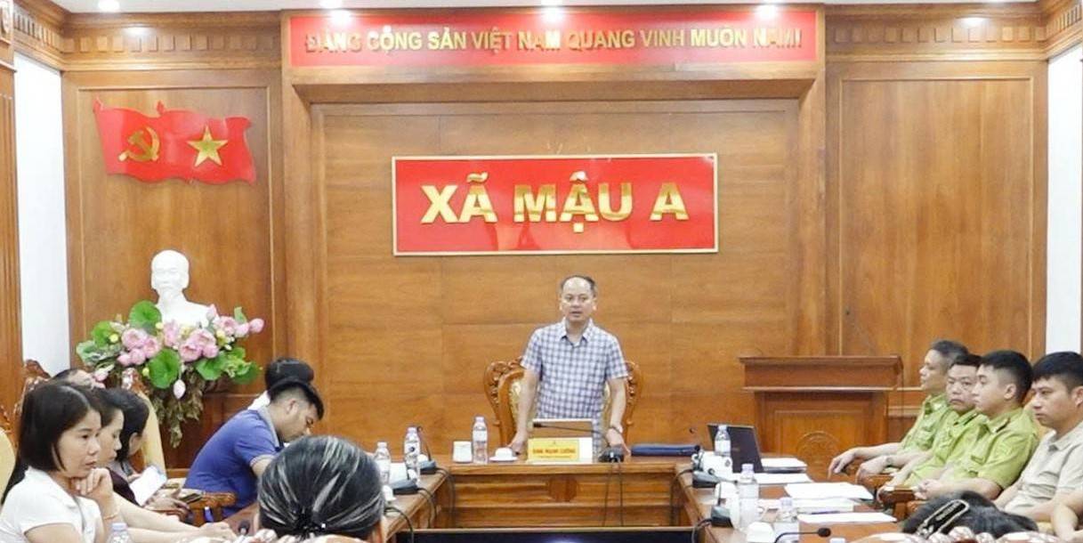 Lào Cai: Xã Mậu A chuẩn hóa quy trình khai thác, xác nhận nguồn gốc quế để nâng tầm giá trị