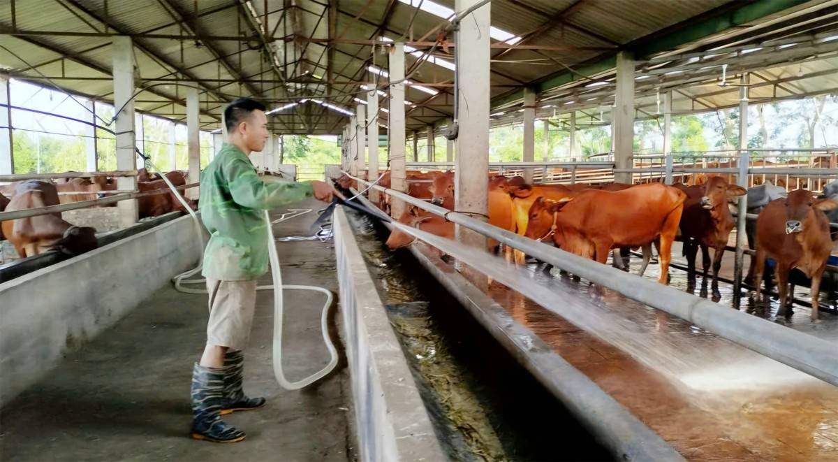 Phú Thọ: GRDP quý I tăng 9,15%, công nghiệp dẫn dắt tăng trưởng