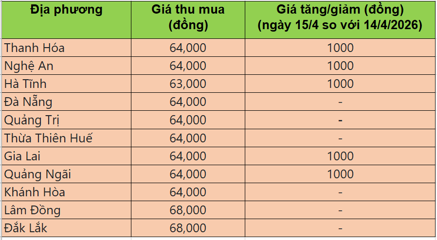 Bảng giá heo hơi tại miền Trung - Tây Nguyên hôm nay 15/4/2026
