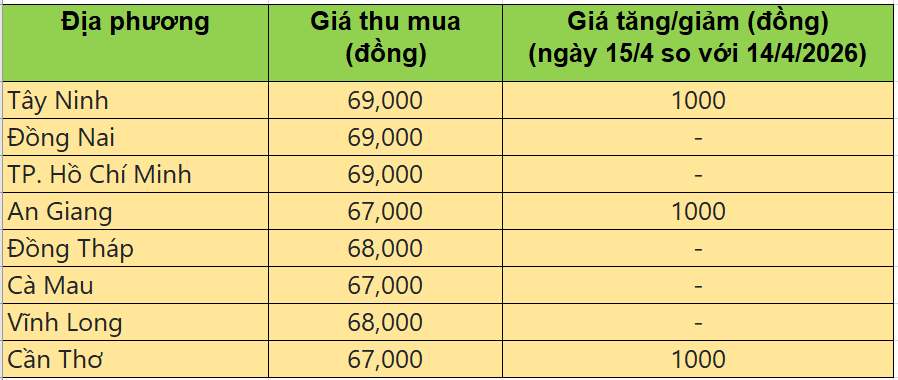 Bảng giá heo hơi tại miền Nam hôm nay 15/4/2026